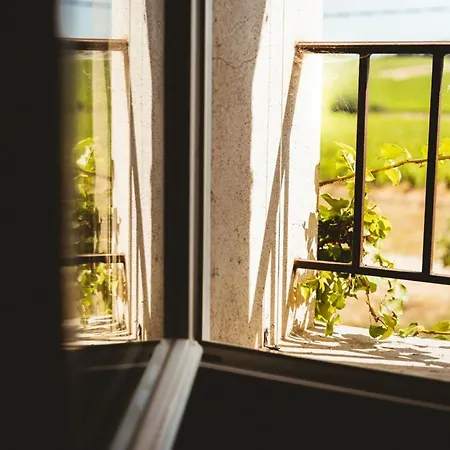 Semesterbostad Le Jardin Des Vignes