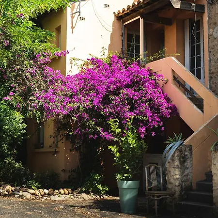 Le Jardin Des Vignes Canet-en-Roussillon