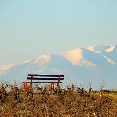 Le Jardin Des Vignes Semesterbostad Canet-en-Roussillon
