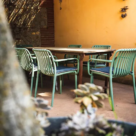 Le Jardin Des Vignes